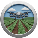 Services d'Entreprise