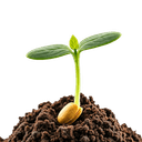 Chia sẻ kinh nghiệm