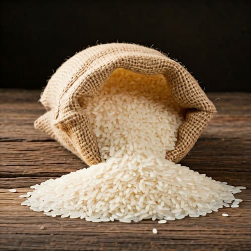 Lessons from Cambodia's Rice Success for Africa