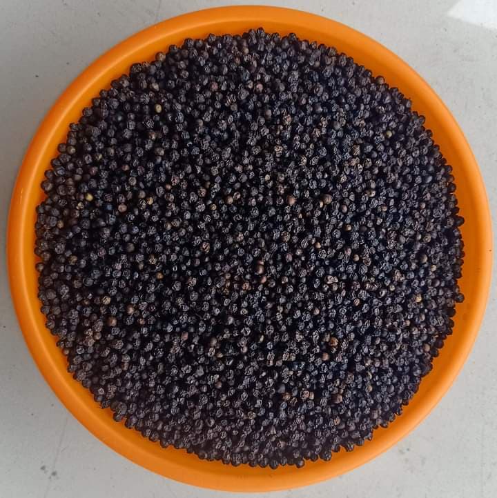 கரு மிளகு. தோற்றம்: இந்தியா (கொடை: Adalidda / பொது களம்)