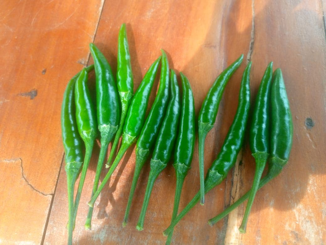 Frische grüne Chilischoten (Sahel Agri-Sol / Adalidda / Gemeinfrei)