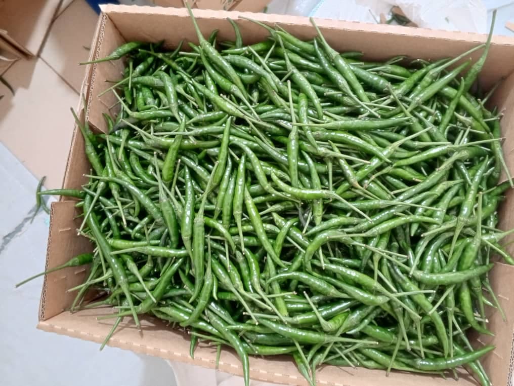 Frische grüne Chilischoten (Sahel Agri-Sol / Adalidda / Gemeinfrei)