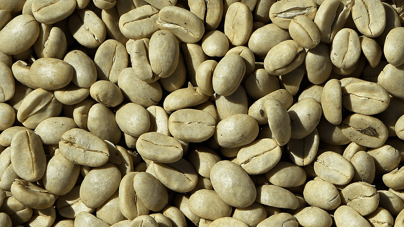 Café Arabica cru (Pixabay)