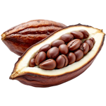 Ca cao